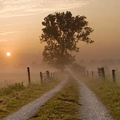 chemin dans la brume